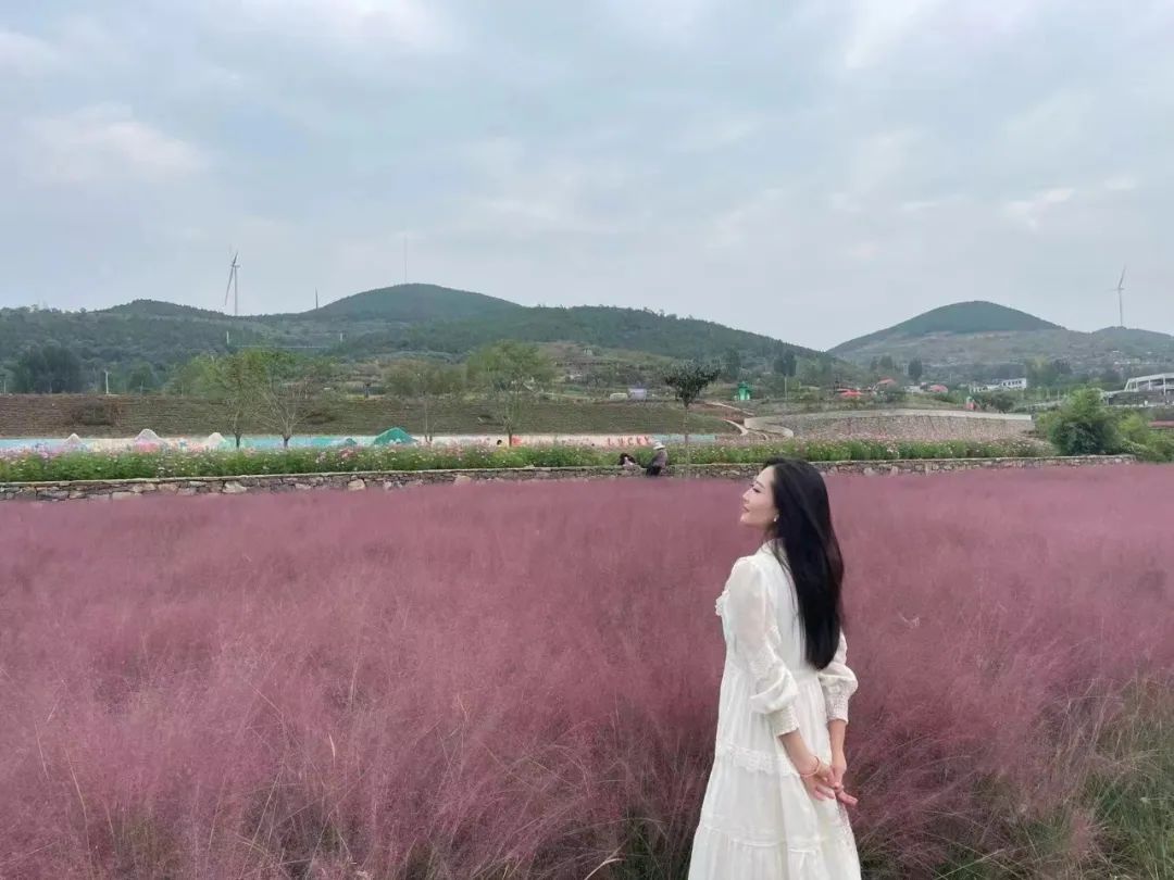  圖片迷路了 ^.^